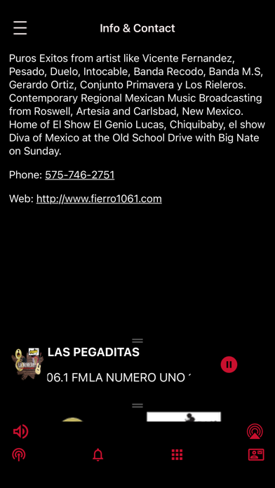 Fierro 106.1 FM Screenshot