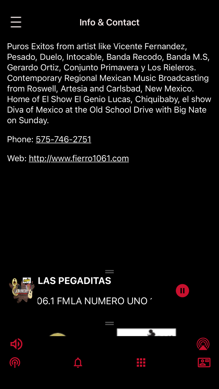 Fierro 106.1 FM