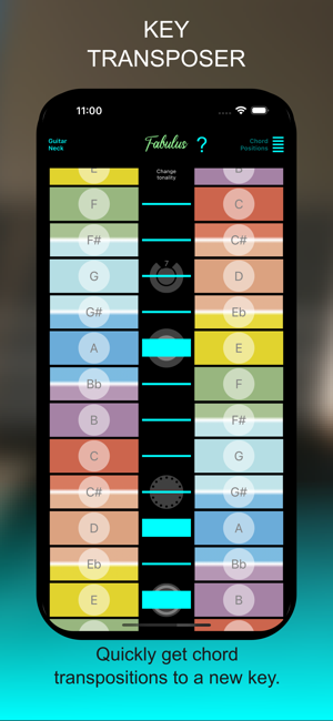 FABULUS Guitar Chords learning Screenshot