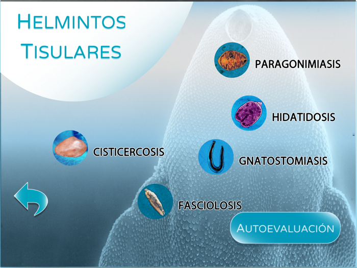 Parásitos sistémicos