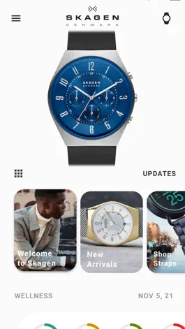 Game screenshot Skagen Smartwatches apk