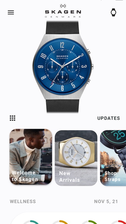 Skagen Smartwatches