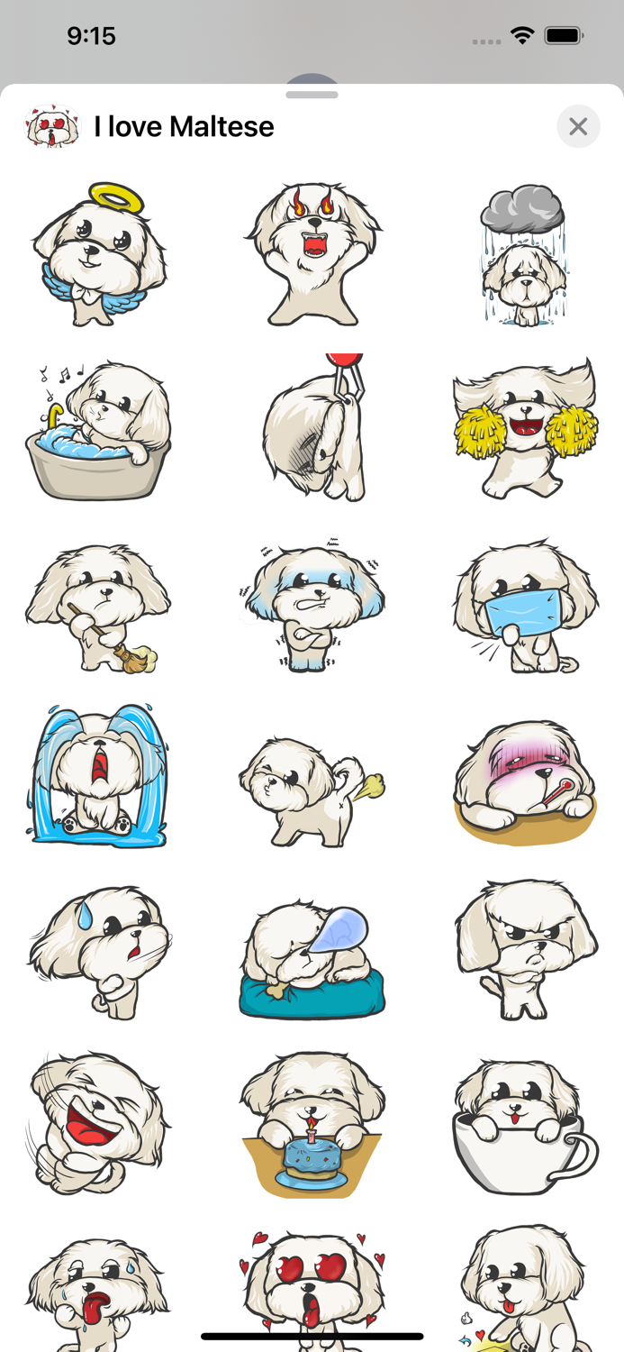 Cutest Maltese Puppy Sticker