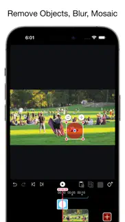 video eraser - remove objects iphone screenshot 1
