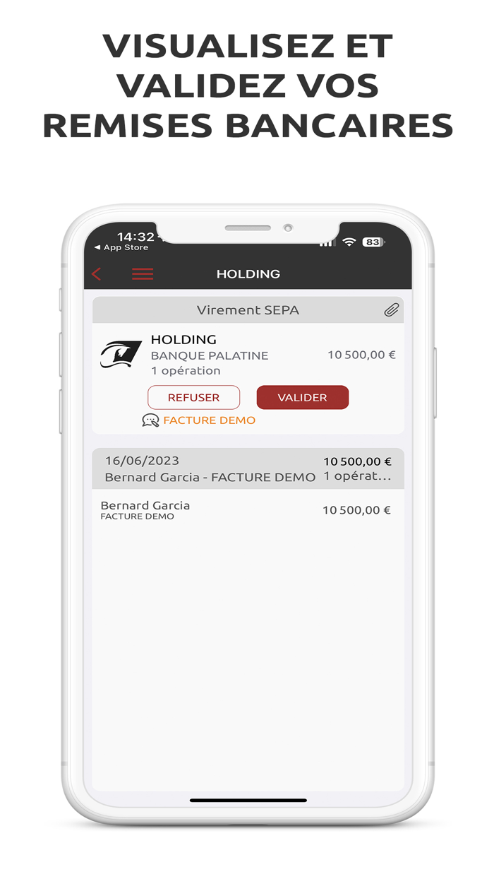 ePalatine Suite Mobile