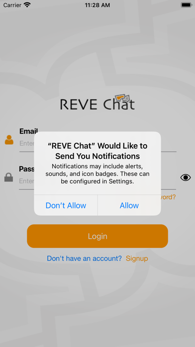 REVE Chat Screenshot