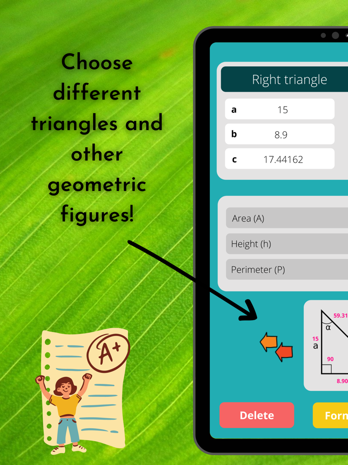 Geometry Calculator Solver