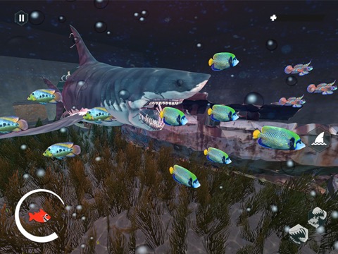 怒っている メガロドン サメ 魚のおすすめ画像6