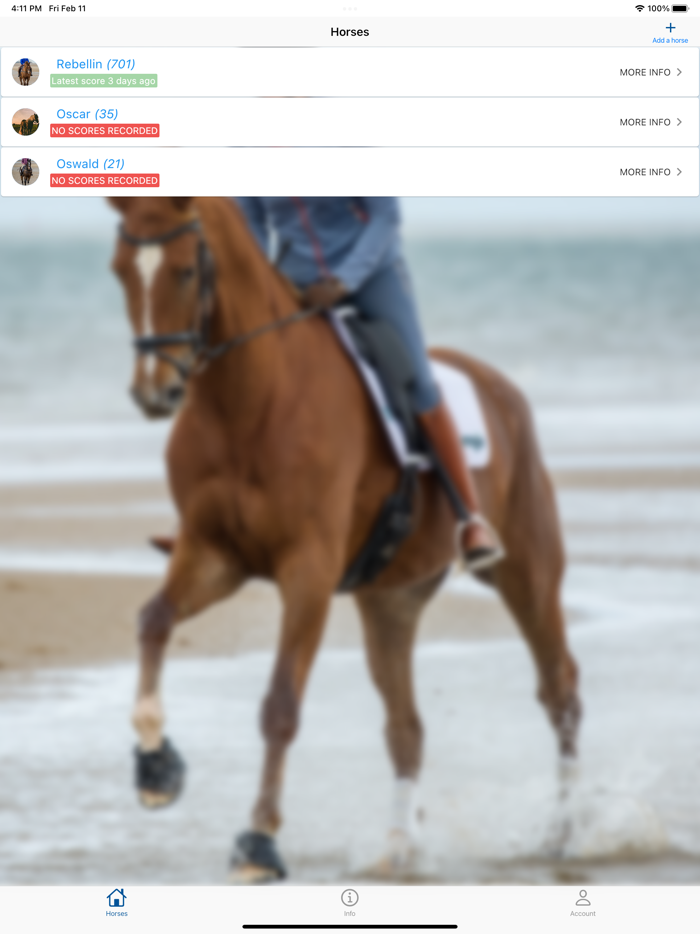 Equine Body Condition Scoring