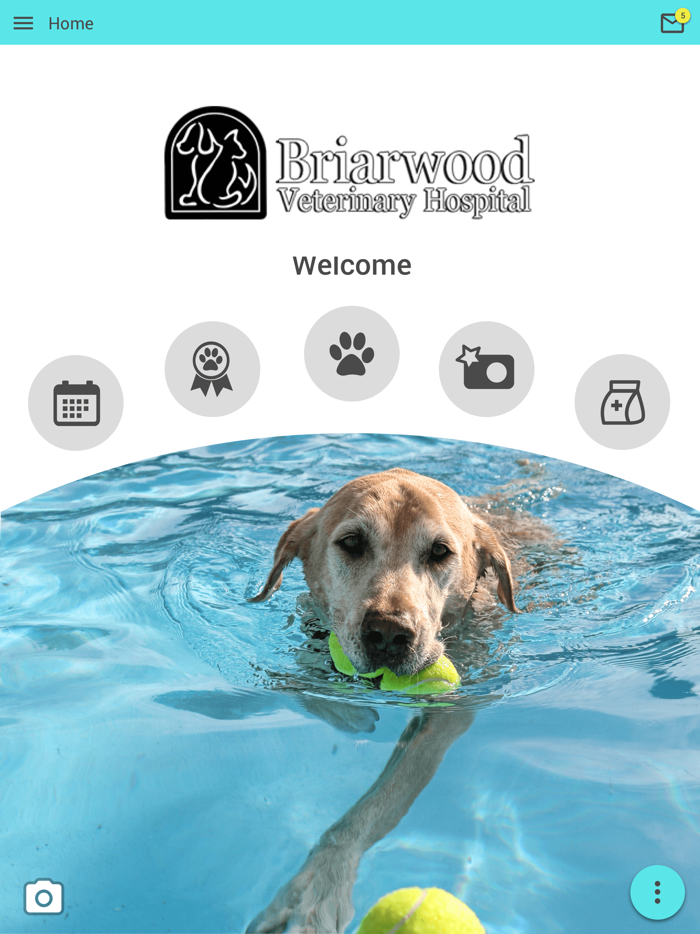 Briarwood Vet