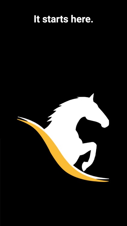 Bosanko Sports Horses screenshot-5