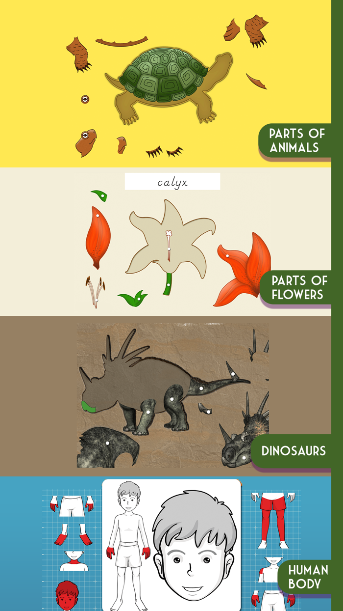 Montessori Classroom Ages 2-8