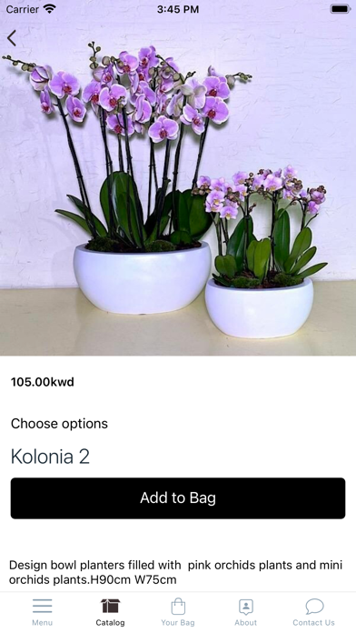 Banflowers and more Screenshot