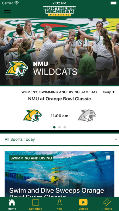 Northern Michigan Wildcats Screenshot