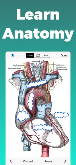 Game screenshot Anatomy and Physiology GO mod apk