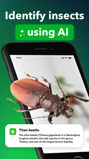 Insect identifier: Bug, Spider screenshot 1