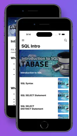 Game screenshot Learn SQL Databases hack