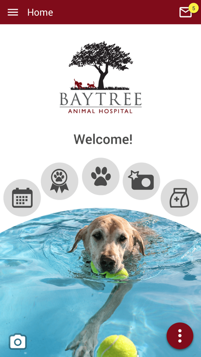 Baytree Animal Hospital Screenshot