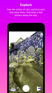 dog optics iphone images 3
