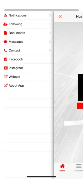 Game screenshot HSM Promotions apk