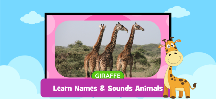 Learning Games and Activities