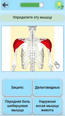 Game screenshot Анатомия Pro apk