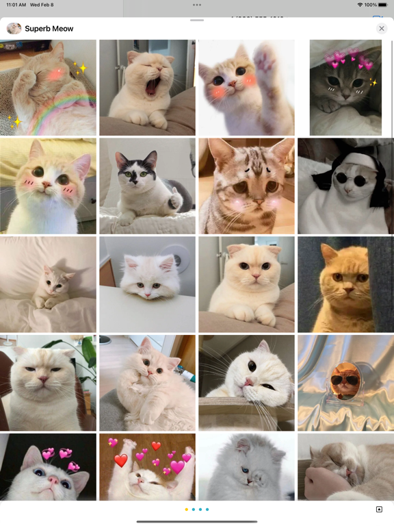 Screenshot #4 pour Superb Meow