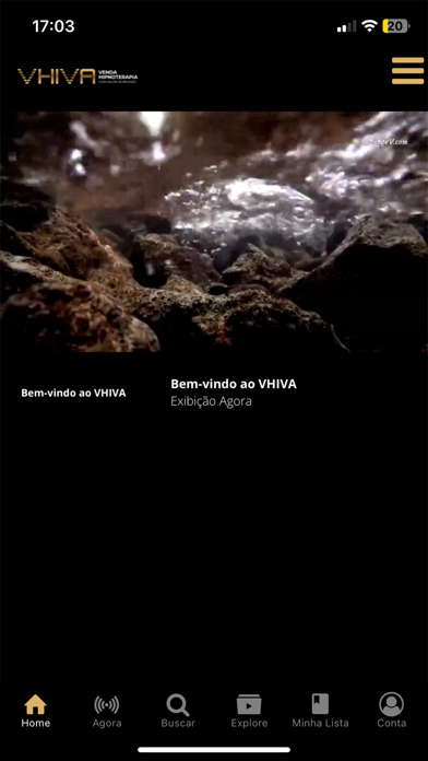 VHIVA Screenshot