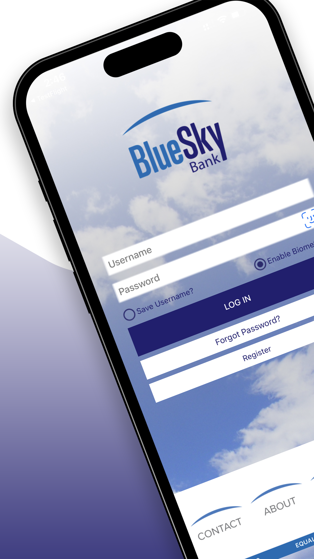 Blue Sky Bank Consumer