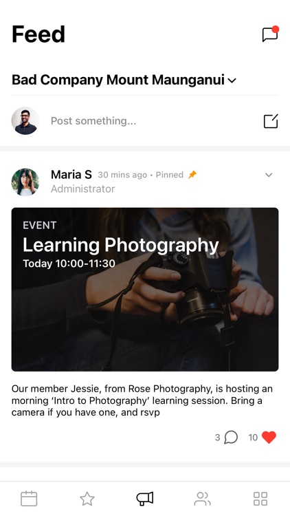 Bad Company Bay of Plenty