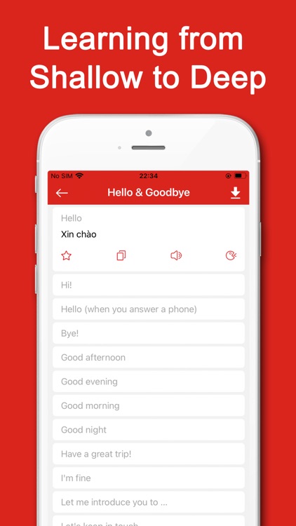 ViTranslator - Viet Translator screenshot-5