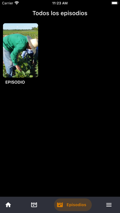 La Región Agropecuaria Screenshot
