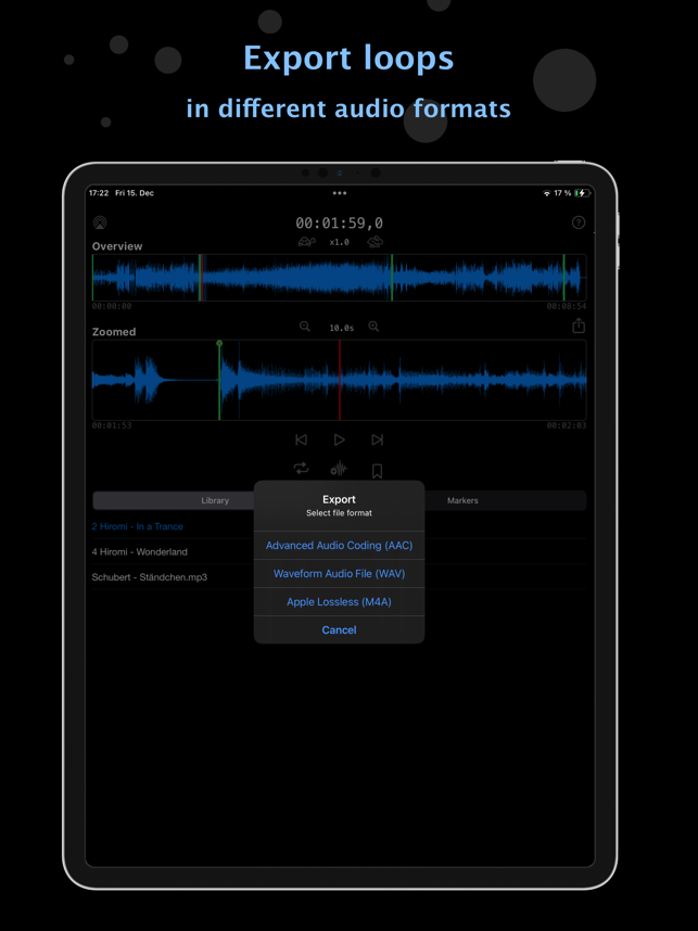 Skärmdump av Audio Looper+