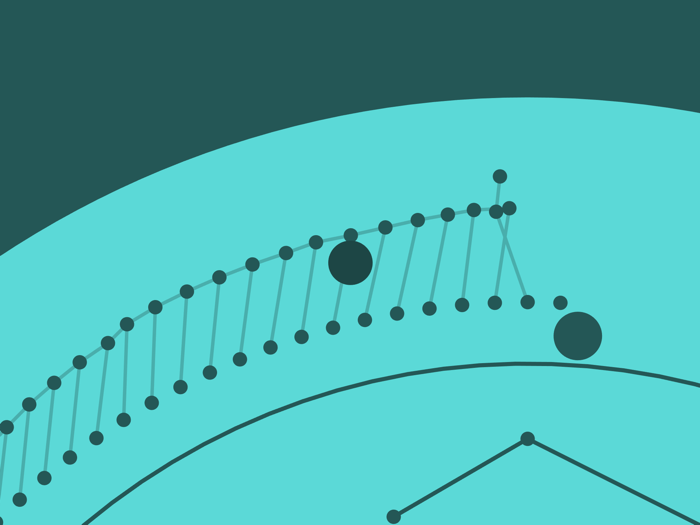 circloO - Physics Platformer