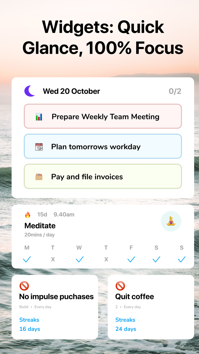 ADHD Organizer Planner Focus
