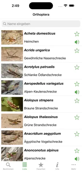 Game screenshot Orthoptera mod apk