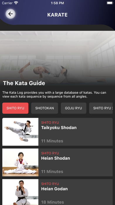 MARTIAL ARTS (TEAM) Screenshot