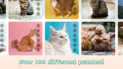Cats Mania Jigsaw Puzzles Screenshot