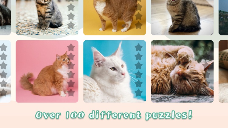 Cats Mania Jigsaw Puzzles