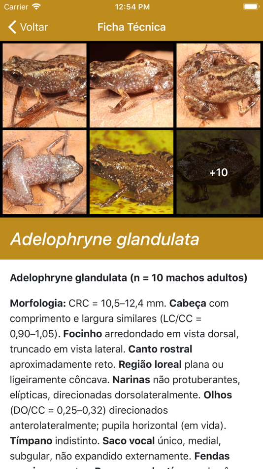 #4. Anfíbios do Quadrilátero (iOS) 由: LucidMobile
