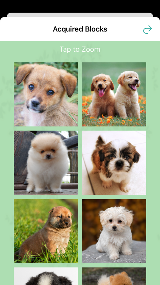 #1. Puppy Falling Blocks (iOS) 由: Mihoko Araki