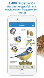 nabu vogelwelt iphone screenshot 4