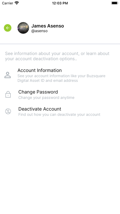 Buzsquare Screenshot