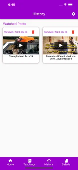 Game screenshot The Mishnah Walk hack