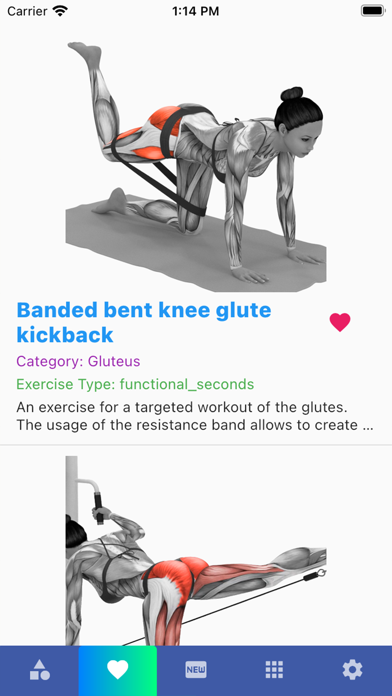 Muscles Exercises Screenshot