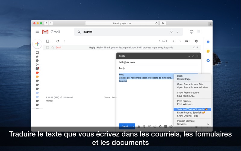 Screenshot #3 pour Translate for Safari