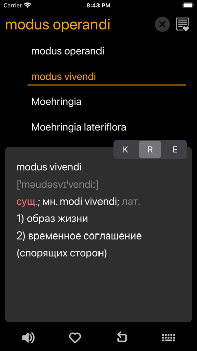 KoRuEn Pro Advanced Dictionaryのおすすめ画像4
