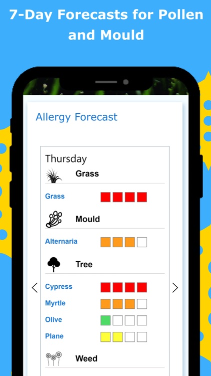 Canberra Pollen Count