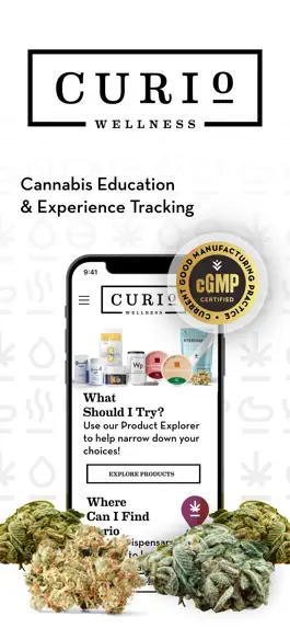 Game screenshot Curio Wellness mod apk