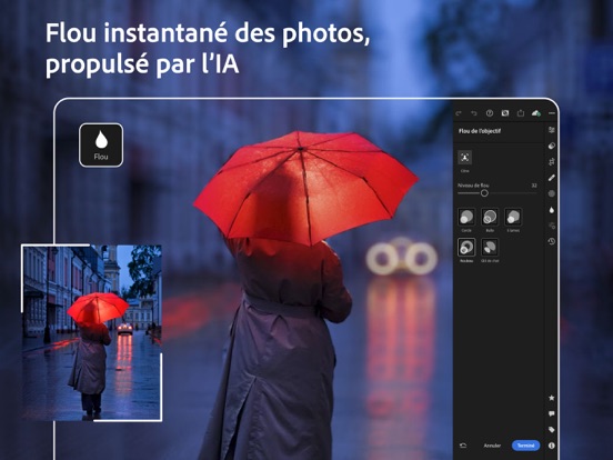 Screenshot #6 pour Adobe Lightroom for iPad